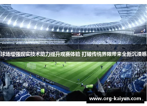 球场增强现实技术助力提升观赛体验 打破传统界限带来全新沉浸感