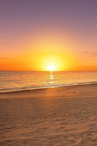 荣耀之巅：厄瓜多尔队员闪耀国家队，谱写绿茵传奇