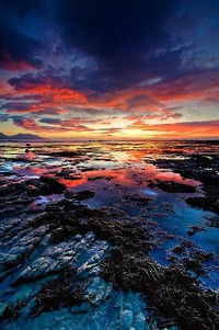 荣耀时刻：日本选手问鼎桂冠，体育竞技的激情与荣耀